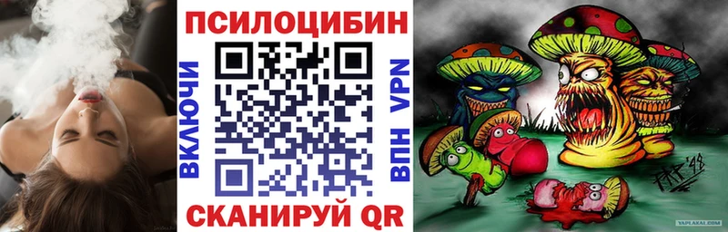 купить   Балабаново  Галлюциногенные грибы MAGIC MUSHROOMS 